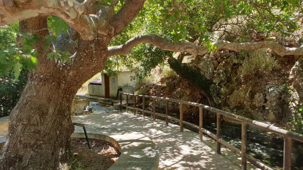Káto Zákros Sofia'S House 아파트 외부 사진